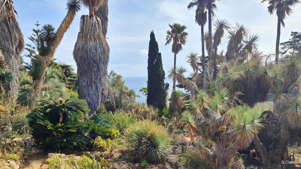 Orto Botanico di Marimurtra