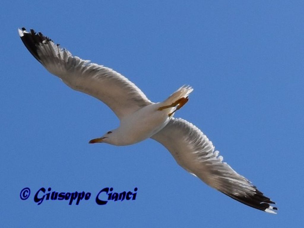 Parco dei Monti Sicani