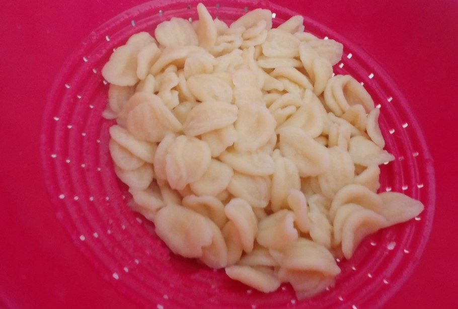 orecchiette zucchine tonno e pomodoro