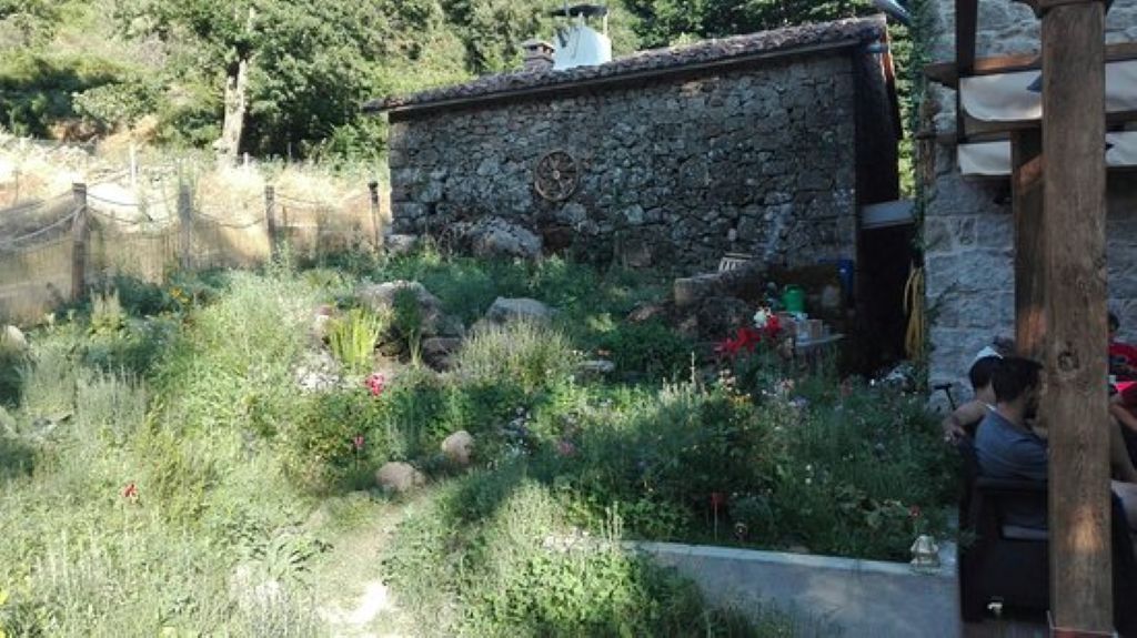 Caso famiglia del bosco: perché togliere i figli ai poveri è una sconfitta dello Stato