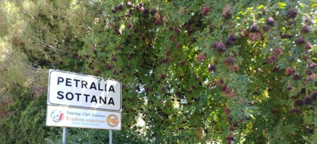 Alla scoperta di Petralia Sottana, la perla del Parco delle Madonie